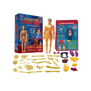 Hơi nước giáo dục thí nghiệm ít nhà khoa học tăng trưởng Nghiên cứu thiết lập tương tác cơ thể con người <span class=keywords><strong>Kit</strong></span> trẻ em Quà tặng - Product Image 1