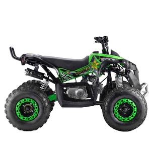 Cuatrimoto de Gasolina de <span class=keywords><strong>Dos</strong></span> <span class=keywords><strong>Tiempos</strong></span> de 110cc 125cc con Certificación CE para Adolescentes - Product Image 2