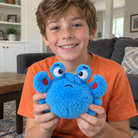 Heiß begehrter Plüsch-Krabben-Strandball mit Cartoon-Gesicht, weiches Plüschtier, Großhandel für den Außenbereich, für Kinder und Erwachsene
