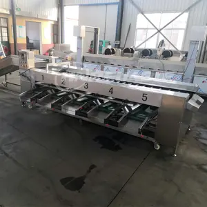 Small vegetable leaf Fruits weight Sizes Date Cherry Roller Sorting Blueberry Grading Machinery Machine