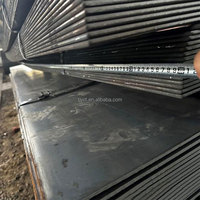 EN 13MnNi6-3 12Ni14 X7Ni9 X8Ni9 Placas de acero laminadas en caliente Hojas de acero