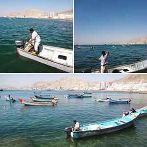 Oem Dịch Vụ 2 Đột Quỵ 5HP Xăng Động Cơ Phía Ngoài Hướng Dẫn Sử Dụng Bắt Đầu Cho Công Việc Nhỏ Thuyền - Product Image 6