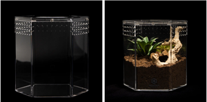 Aangepaste Grootte En Logo 5Mm Acryl Zeshoekige Vorm Reptiel Terrarium Zeshoek Acryl Behuizing - Product Image 2