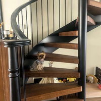 Escaliers en spirale extérieurs en acier au carbone galvanisé à chaud de qualité supérieure au prix le plus bas / Escalier en spirale en fonte directement de l'usine