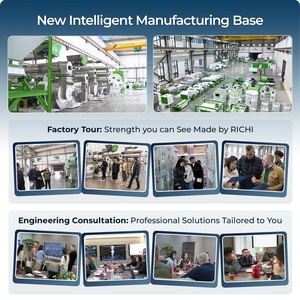Ligne de production de granulés d'aliments RICHI 1-120T/H - Usine d'aliments personnalisée CE EPC, ligne de traitement de granulés d'aliments pour bétail et volailles - Product Image 6