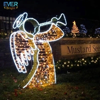 Guirlandes lumineuses LED EVER BRIGHT à motif ange, indice de protection IP65, matériau PVC, décoration de mariage et de paysage