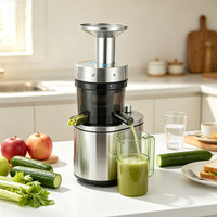 Extracteur de jus à froid professionnel robuste en acier inoxydable avec goulotte d'alimentation large pour poires, pommes, carottes, céleris
