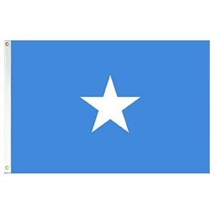 Bandera de Sierra Leona 3x5 pies, Bandera de Calidad Resistente a la Decoloración, Colores Vivos, Bandera Nacional para Interiores y Exteriores, Venta al por Mayor - Product Image 2