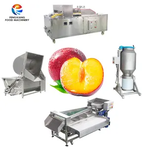 Kleiner Fruchtband-Sortiergrinder für Pflaume Kirsche Brokkoli gewerbe Pflaume Aprikose Kernmaschine Fruchtentsaftmaschine