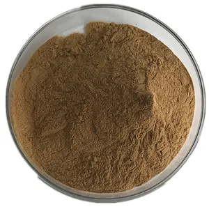 Supplemento sano estratto di Angelica cinese in polvere cas 4431-01-0 estratto vegetale