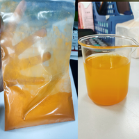 Poudre de curcuma biologique en vrac 100g, marque privée OEM