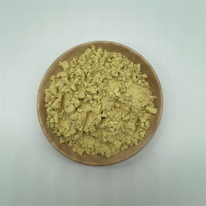 Quercetina in polvere CAS 6151-25-3 naturale sophora japonica estratto 98% quercetina - Product Image 2