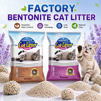Litière pour chat en bentonite écologique personnalisée, super absorbante, agglomérante, sans poussière, contrôle des odeurs, avec tailles et senteurs personnalisées