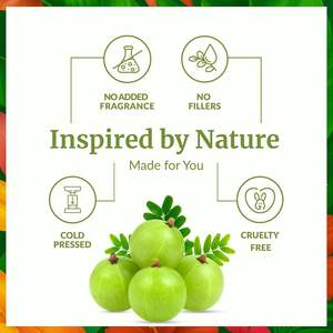 Olio per <span class=keywords><strong>Capelli</strong></span> all'<span class=keywords><strong>Amla</strong></span> all'Ingrosso, Olio Naturale di Uva Spina Indiana per Ispessimento e Nutrimento dei <span class=keywords><strong>Capelli</strong></span> Secchi e Danneggiati - Product Image 2