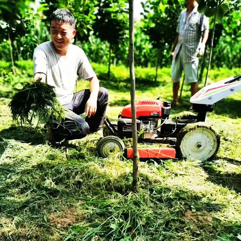 Desain Baru 9hp Peralatan Pertanian Paddy Weeding Mesin Pemotong Rumput Mekanis Harga