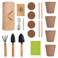 Cadeau de Noël créatif, vente en gros, emballage en bois biodégradable, ensemble d'outils de jardinage pour pot de fleurs, cadeaux d'anniversaire et de Noël