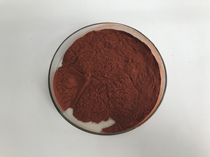 Insen bán chất lượng hàng đầu tự nhiên 95% chiết xuất hạt nho - Product Image 5