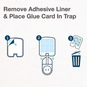 Hộ gia đình dính côn trùng keo bảng bắt trái cây bay sinh thái thân thiện điện tử dính Bug bẫy - Product Image 4