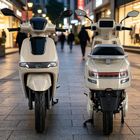 Motos électriques CKD SKD 12 pouces pour adultes, homologuées pour la route, 1100/1300W, vitesse 60 km/h, scooter électrique pour adultes, moto électrique avec pédale
