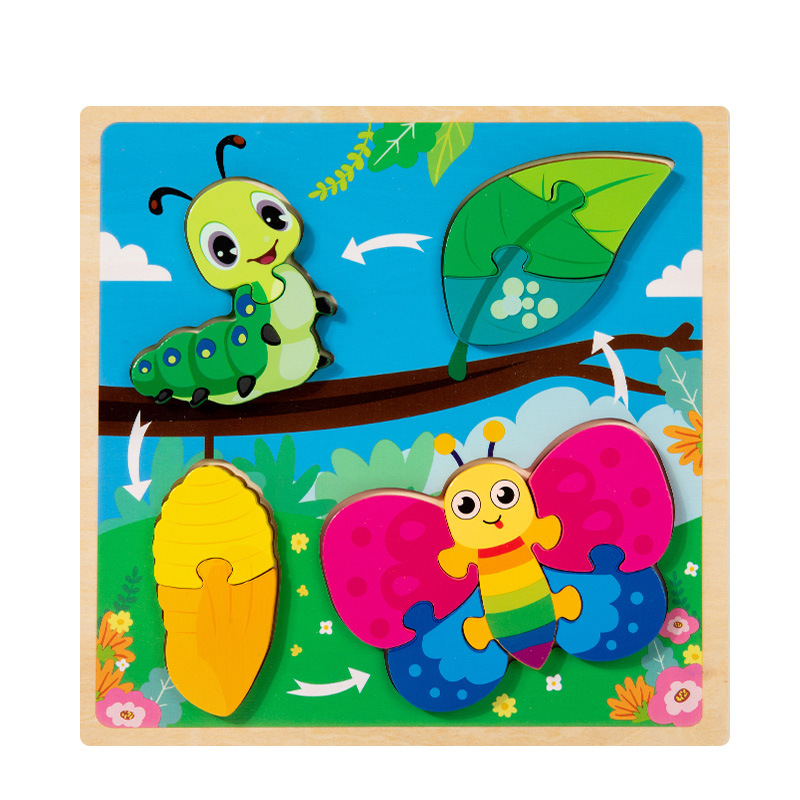 growth cycle puzzle-butterfly