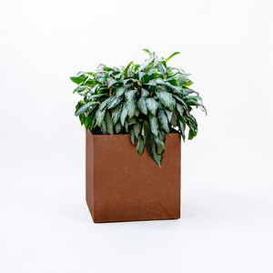 High Quality Farmhouse Traditional Rusted Corten Steel Square Flower Pot Garden <b>Bed</b> for Indoor Outdoor Use - Product Image 1