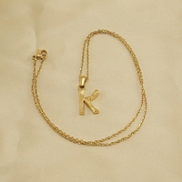 Collar con Colgante de Letra Inicial del Alfabeto en Acero Inoxidable Antideslustre, Estilo Moderno, para Uso Diario