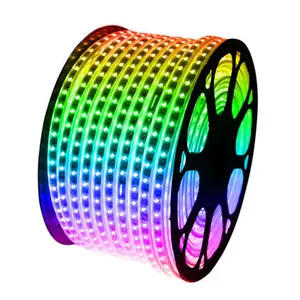 Hot sale LED Strip 5050 IP67 Waterproof RGB 16 Colors Rope Lighting With Remote Controller 220V 110V 50m 100m