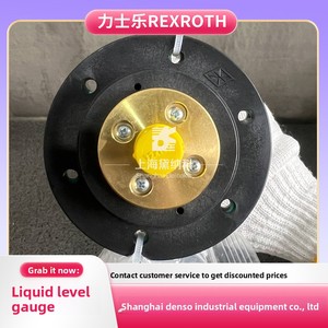 เครื่องวัดระดับน้ำเยอรมนี R901269287 ABZMS-41-2X/1000/M2/DC-K24 จีน - Product Image 2