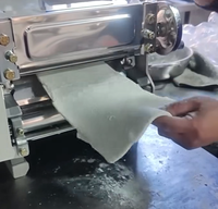 Machine électrique de fabrication de nouilles fraîches pour la maison ou le commerce Rouleau de pâte à pâte