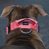 Collar de Perro de Nailon de Diseño Minimalista Personalizado con Cintas, Acolchado de Neopreno Suave, Hebilla Metálica de Liberación Rápida, Ajustable