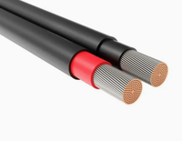 0.6/1kv câble solaire XLPO à un noyau 6mm2 cuivre étamé noir rouge fil électrique photovoltaïque résistant à la chaleur pour l'énergie solaire