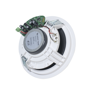 T 6.5 Inch Vượt Qua Hoạt Động <span class=keywords><strong>Bluetooth</strong></span> Loa Trần Trong Trần Gắn Âm Thanh Loa Trần Với 2*20W Bộ 8Ohm - Product Image 4