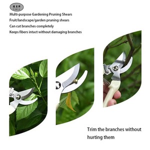 Meilleur <span class=keywords><strong>Prix</strong></span> Ensemble de Jardinage : Sécateur de Jardin, Ciseaux d'Élagage pour Arbres Fruitiers et Branches, Élagueuse pour Arbres - Product Image 3