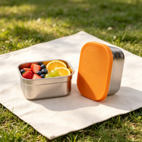 Ensemble de 3 contenants alimentaires rectangulaires pour le camping, 270 ml et 700 ml, boîte à lunch en acier inoxydable 304, couvercles en silicone étanches