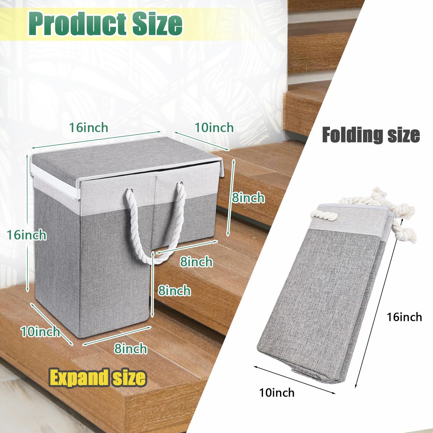 Two-Tone Foldable with Lid