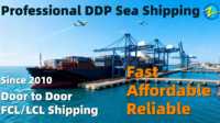 Zhongshan Shantou Qinghuangdao DDP Expédition maritime fiable porte à porte Fret maritime Chine vers Algérie Longoni Casablanca Tangier