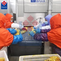 Friteuse continue automatique, nouvelle conception, grande capacité, friteuse continue pour poulet frit