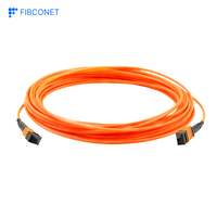 Câble de brassage fibre optique personnalisé 24 fibres OS2 SM MPO vers 2x12 MPO