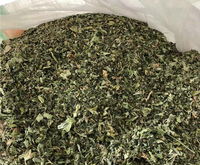 Herbe à chat écrasée de haute qualité avec feuille et tige pour chat herbe à chat fraîche en vrac