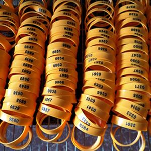 สายรัดข้อมือยางแบบกำหนดเองได้ ราคาถูก พร้อมโลโก้ สำหรับงานอีเว้นท์และโปรโมชั่น - Product Image 6