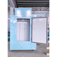 COLDSTAR ICE-420 Glacière extérieure à porte unique pour glace en sac, avec ventilateur de refroidissement, contrôle numérique, de -15 à -5°C, réfrigérant R404a