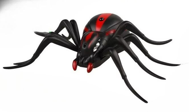 Couleurs mélangées - Araignée