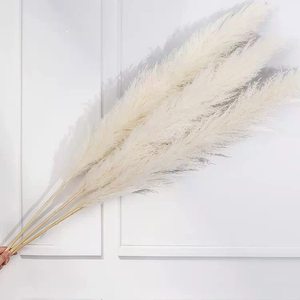 Grande Herbe de la Pampa Séchée Naturelle Rose, Blanche et Beige, Moelleuse, pour Décoration de Mariage, en Pack Personnalisé - Product Image 3