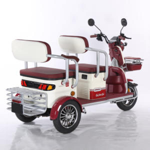 Scooter électrique chinois à assistance électrique à vente chaude, tricycle <span class=keywords><strong>de</strong></span> sécurité pour <span class=keywords><strong>personnes</strong></span> âgées, personnalisable, scooter électrique à 3 roues - Product Image 5