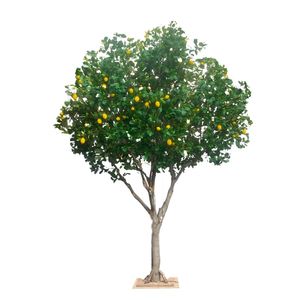 Árbol <span class=keywords><strong>de</strong></span> Limón Artificial Premium <span class=keywords><strong>de</strong></span> 3.8 Metros, Decoración para Restaurantes, Centros Comerciales y Salas <span class=keywords><strong>de</strong></span> Exposición, Planta Artificial con Frutos - Product Image 4