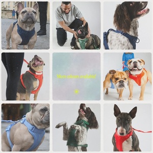 Venta al por mayor de arneses para perros de lujo Biothean impermeable de PVC collar de mascotas Correa conjunto ajustable de diseñador personalizado arnés para perros - Product Image 4