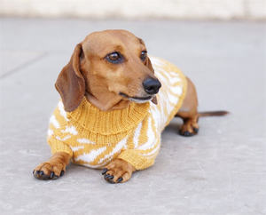 زي كلاب بتصميم الحيوانات الأليفة تشوك, زي كلب نمر ، زي شتوي ، سترة دشوند ، حيوانات مضحكة ، كلب لطيف ، زي داكل وينر - Product Image 6