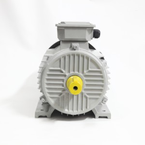 Motores de CA Serie YE Y2 315L2-6 de 2 <span class=keywords><strong>HP</strong></span> a 75 <span class=keywords><strong>HP</strong></span>, 750 RPM - 3000 RPM, 220V, 50Hz, Motores de Inducción Trifásicos - Product Image 3