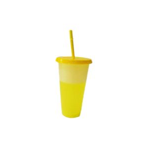 Bouteille d'eau personnalisée, lot de 10 couleurs, grande capacité 710 ml avec paille, tasse thermochromique pour la gym - Product Image 1