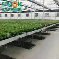 Système de culture hydroponique écologique à flux et reflux, banc roulant mobile pour la culture de légumes et de semis de fleurs en serre